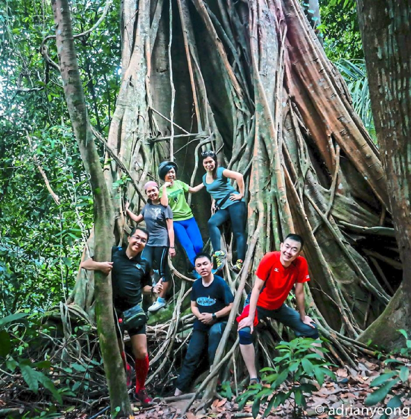 Green lung Apek Hill should be better protected