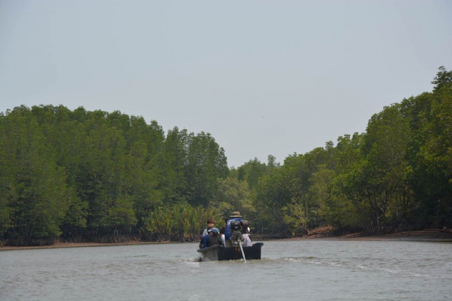 Trat proves value of participatory governance Trat proves value of participatory governance