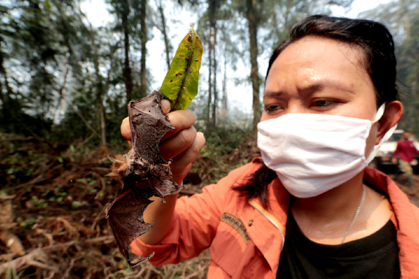 Officials investigate fires in different regions Officials investigate fires in different regions