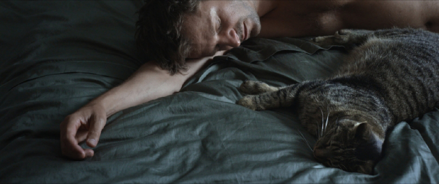 SEXUALITY on screen SEXUALITY on screen