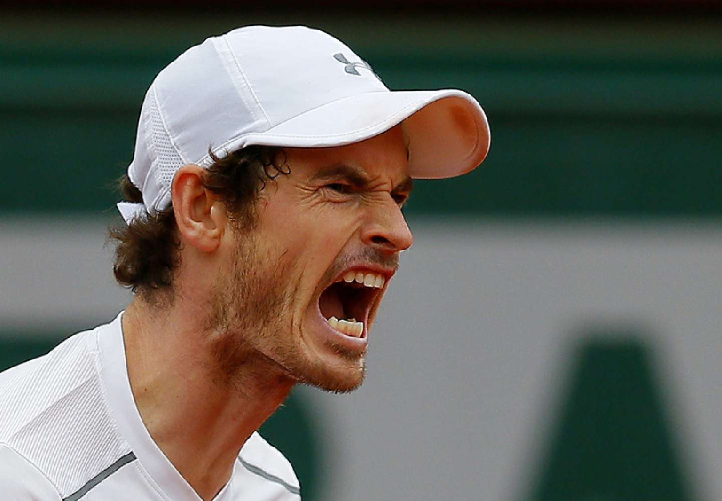 Djokovic and Murray eye milestones in blockbuster Paris final Djokovic and Murray eye milestones in blockbuster Paris final