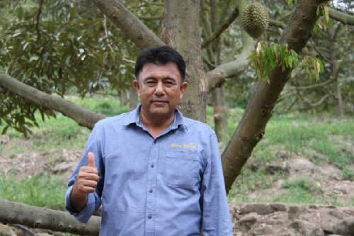 Home-stay units planned in eco-tourism venture Home-stay units planned in eco-tourism venture