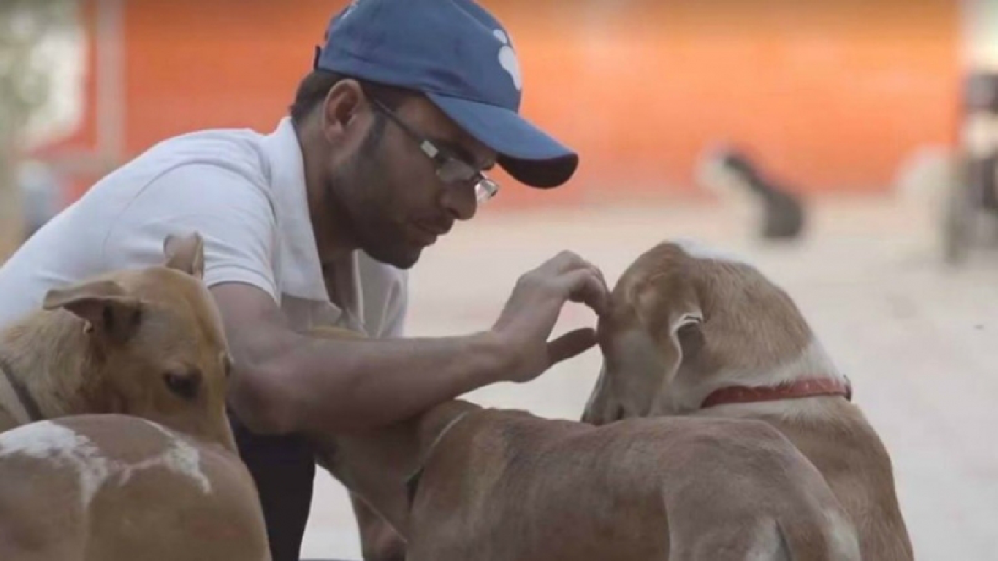 This feel-good video from a Pakistani animal shelter will warm your heart This feel-good video from a Pakistani animal shelter will warm your heart