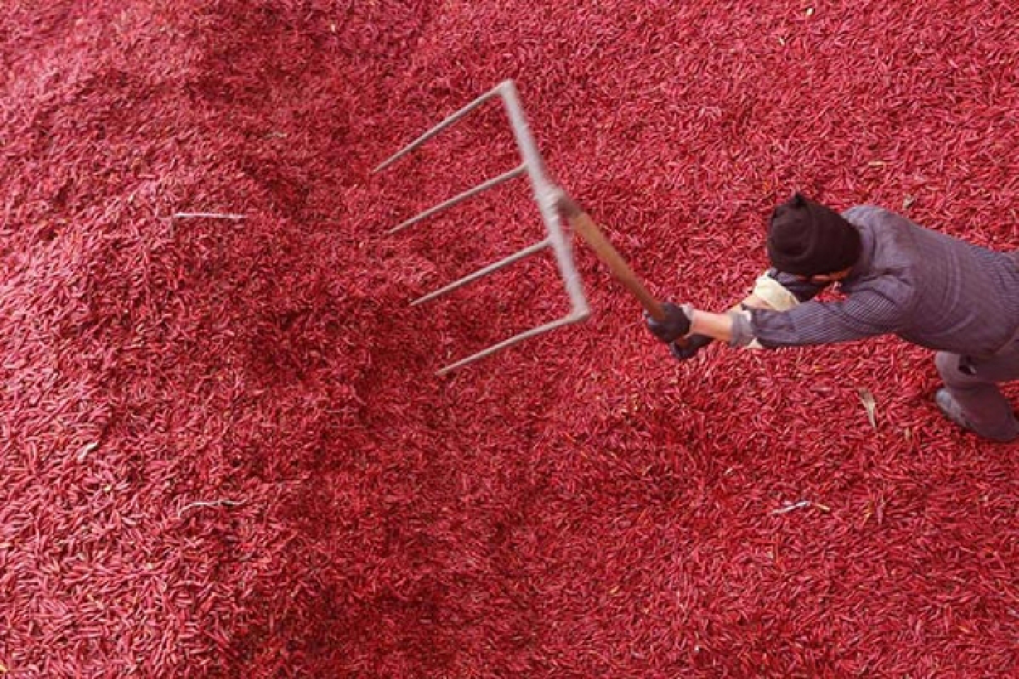Where is the spiciest place in China? Where is the spiciest place in China?