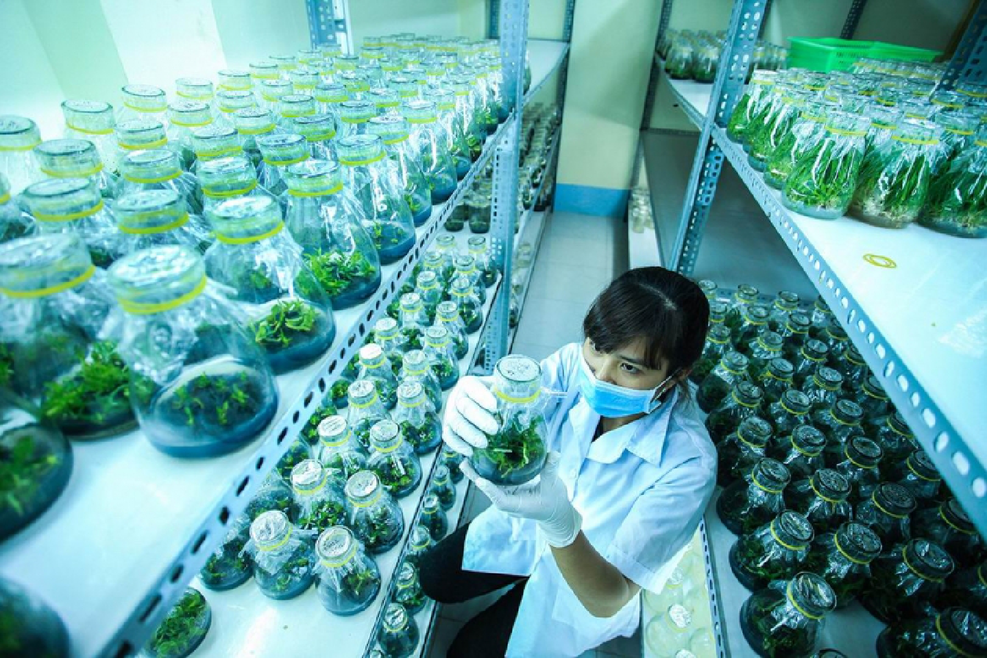 Clean farm produce takes off in VN Clean farm produce takes off in VN