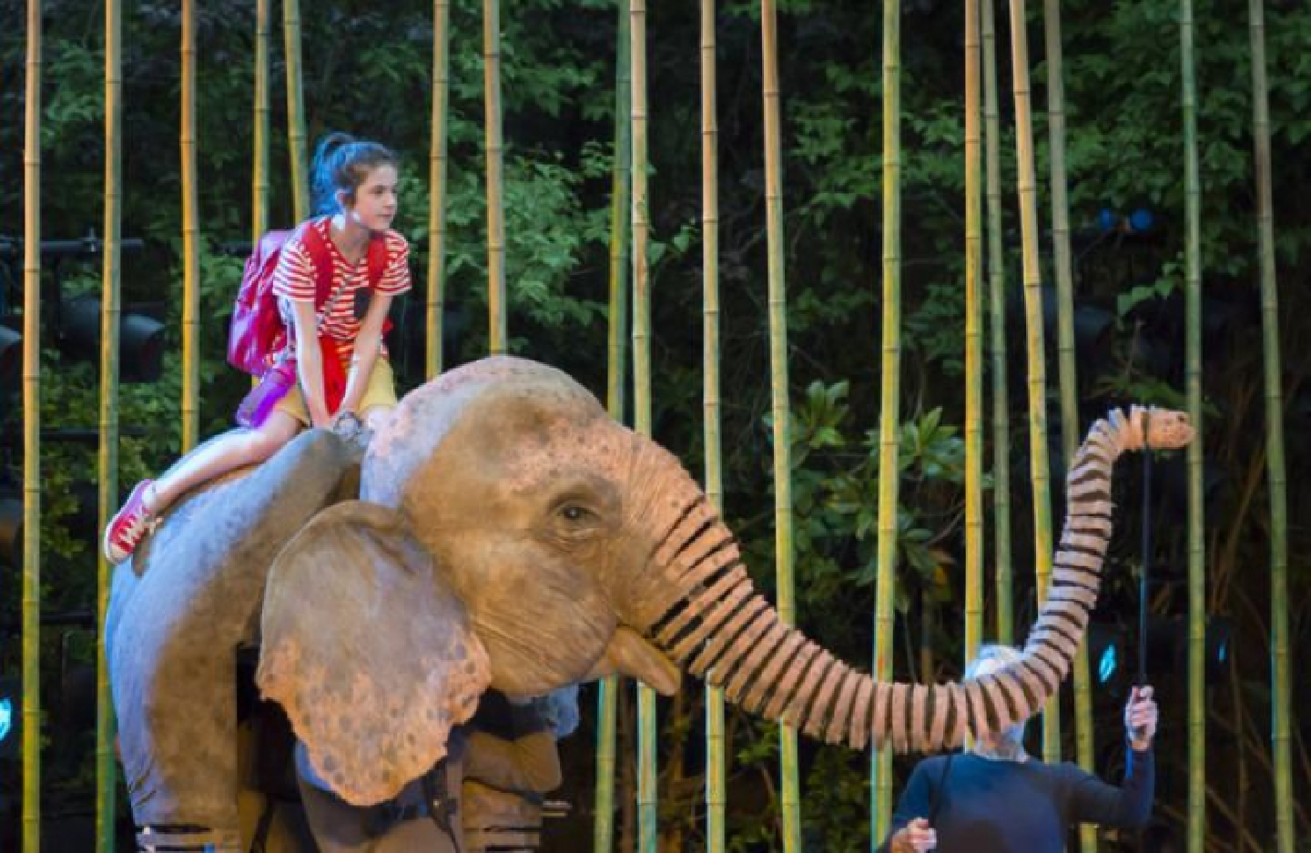 Tsunami survivor's tale turned into Regent's Park stage production Tsunami survivor's tale turned into Regent's Park stage production