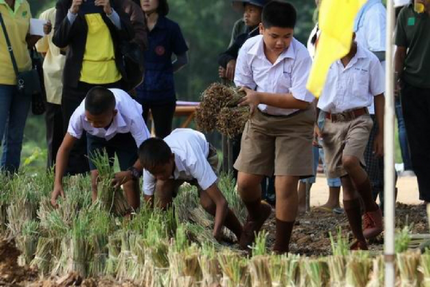 Project fights floods, drought in Prachin Buri Project fights floods, drought in Prachin Buri