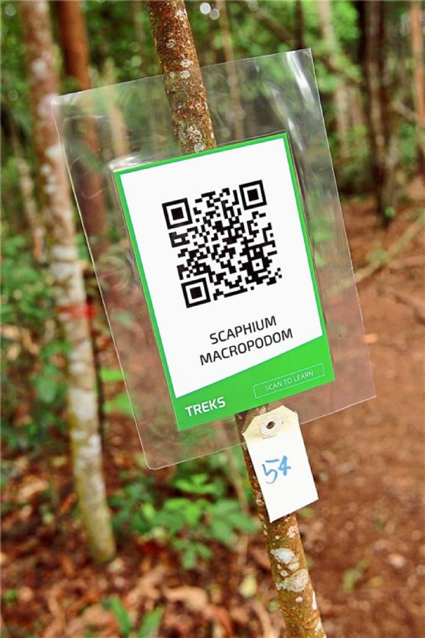 At the height of biodiversity