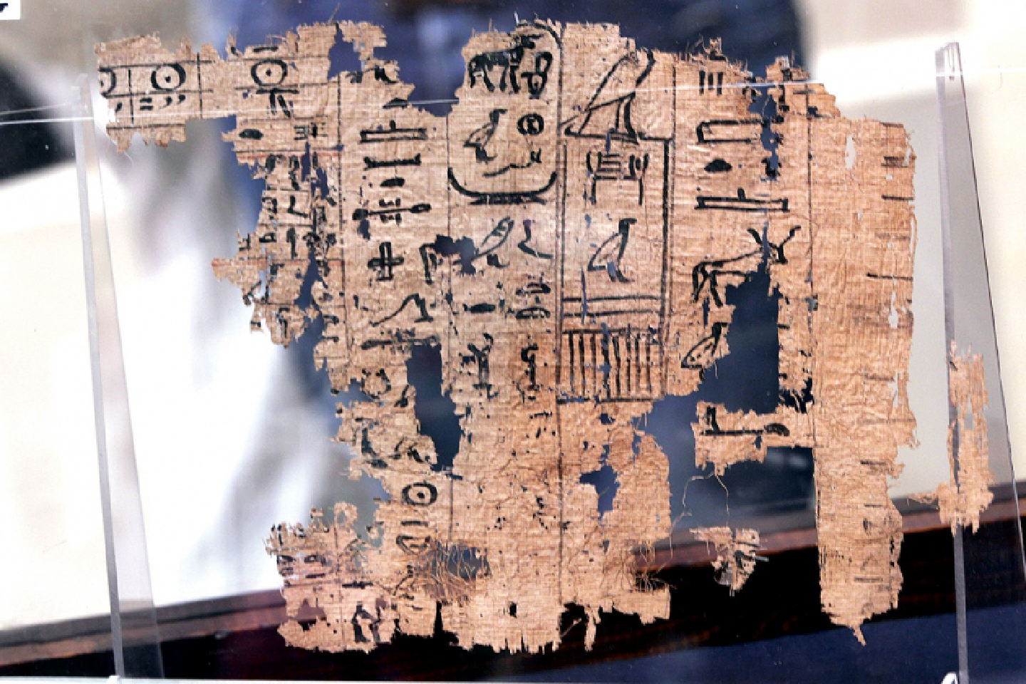 Notes from Wadi al-Jarf