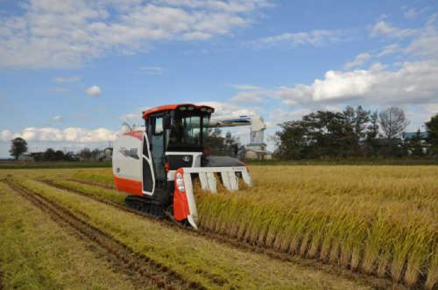 Thai farmers urged to embrace innovation Thai farmers urged to embrace innovation