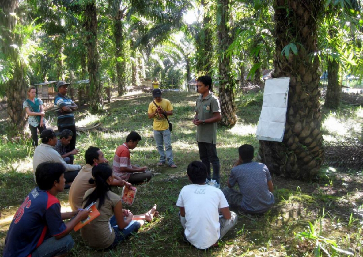 German firms support plan for I’nesian palm oil industry German firms support plan for I’nesian palm oil industry