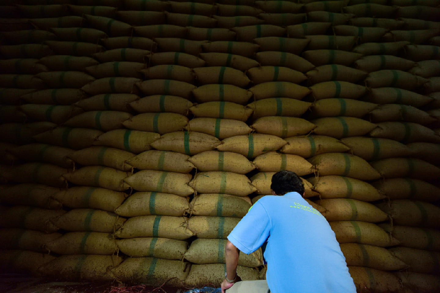 ACC prioritises rice scheme cases ACC prioritises rice scheme cases