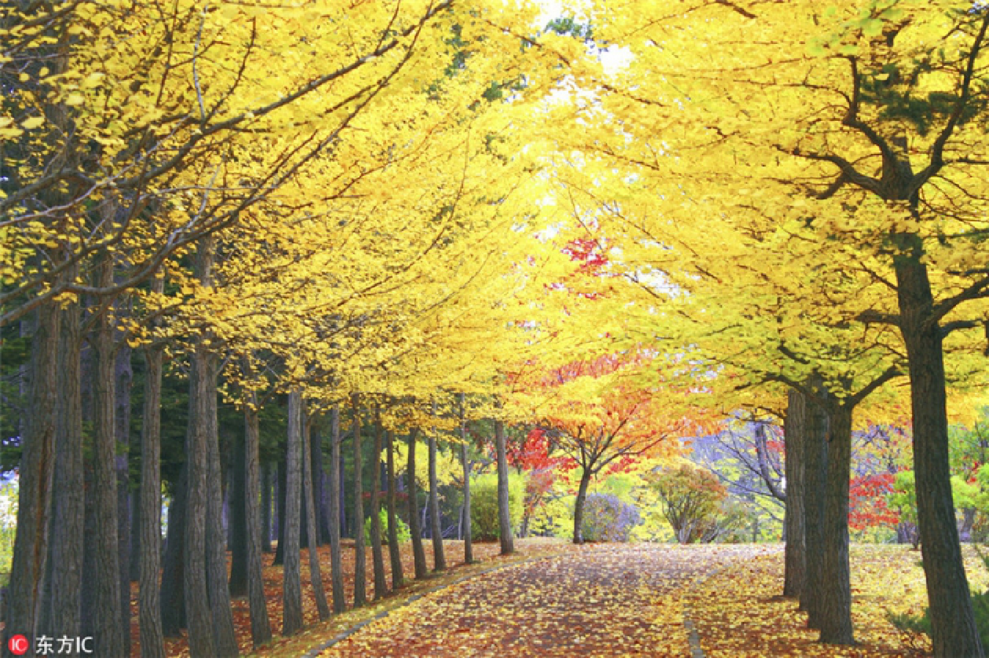 Top 10 travel destinations in Asia Top 10 travel destinations in Asia