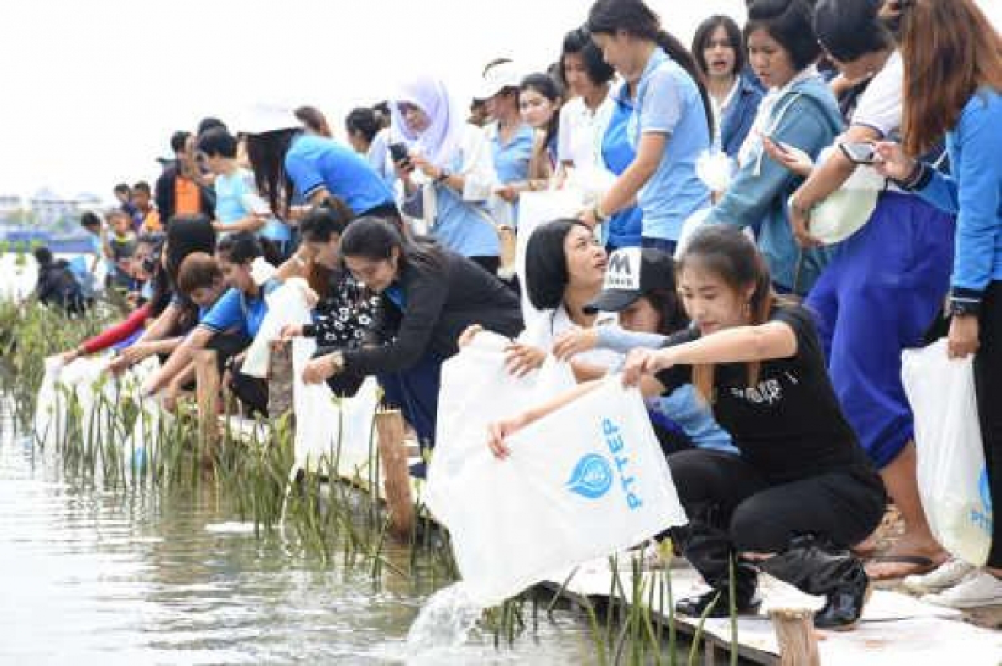 Project increases crab catch Project increases crab catch