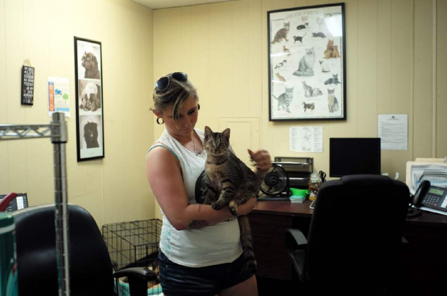 Hurricane Matthew rescue animals find homes after storm Hurricane Matthew rescue animals find homes after storm