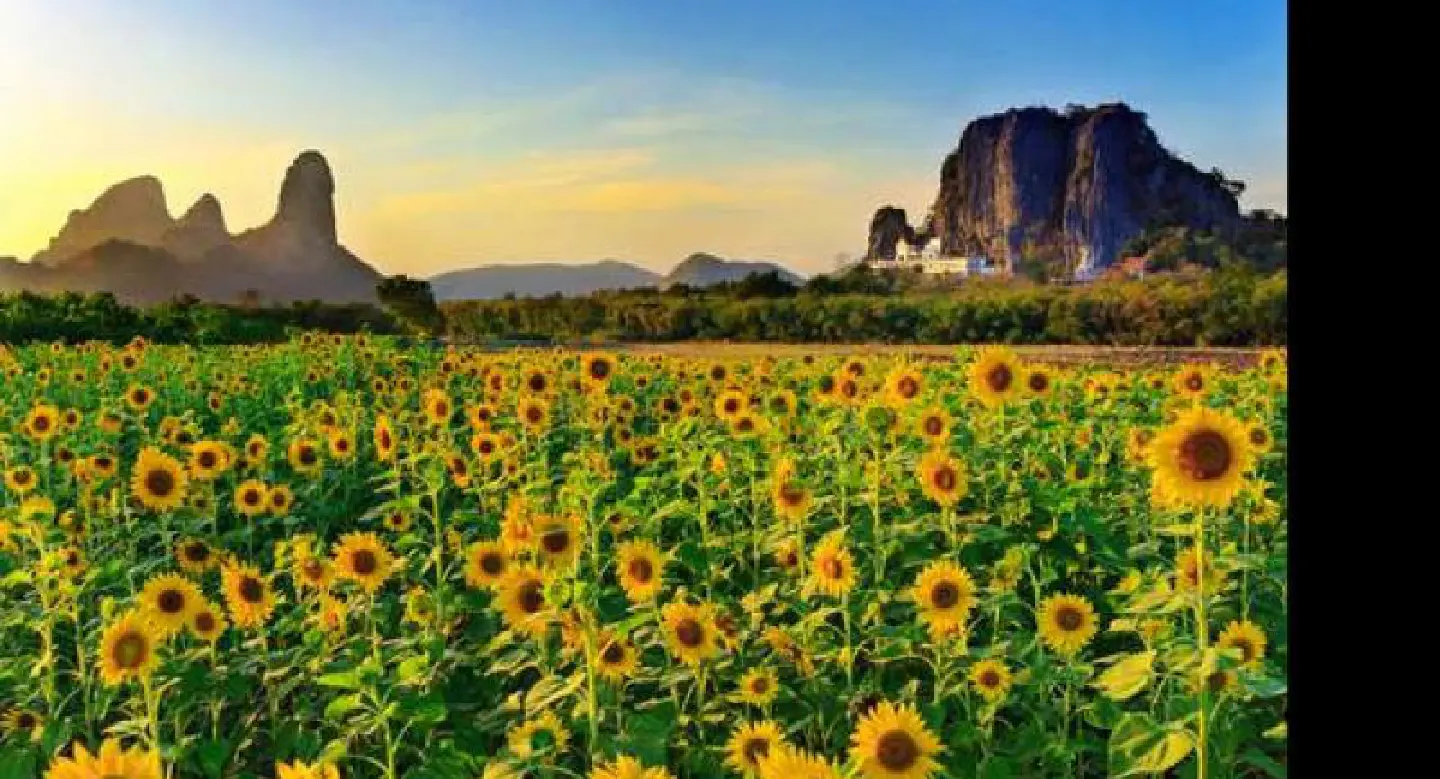 Here comes the sun Here comes the sun