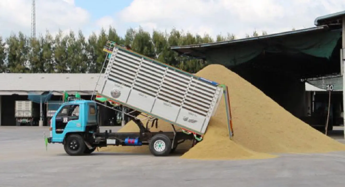 Steps to prevent drop in rice price Steps to prevent drop in rice price