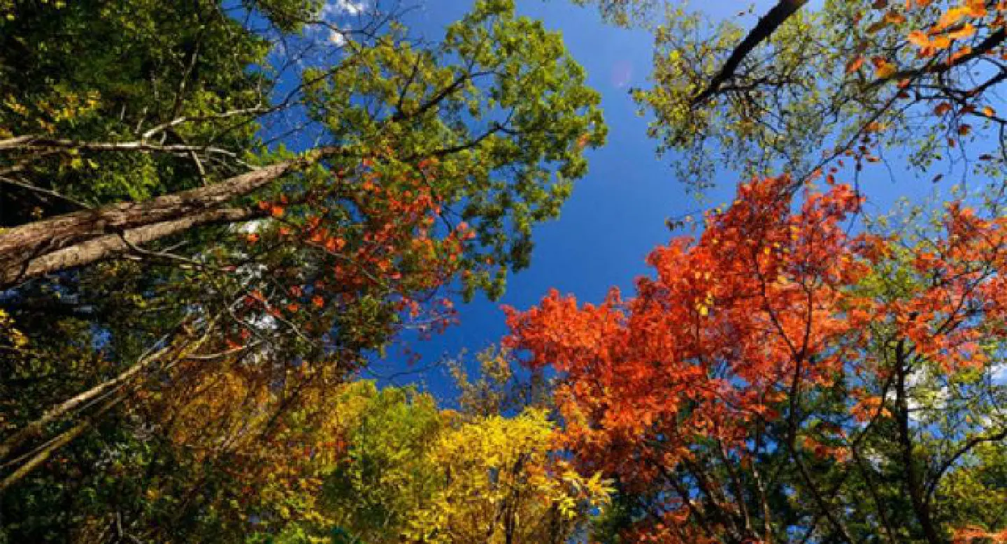 Splendid Sichuan captured in photos Splendid Sichuan captured in photos