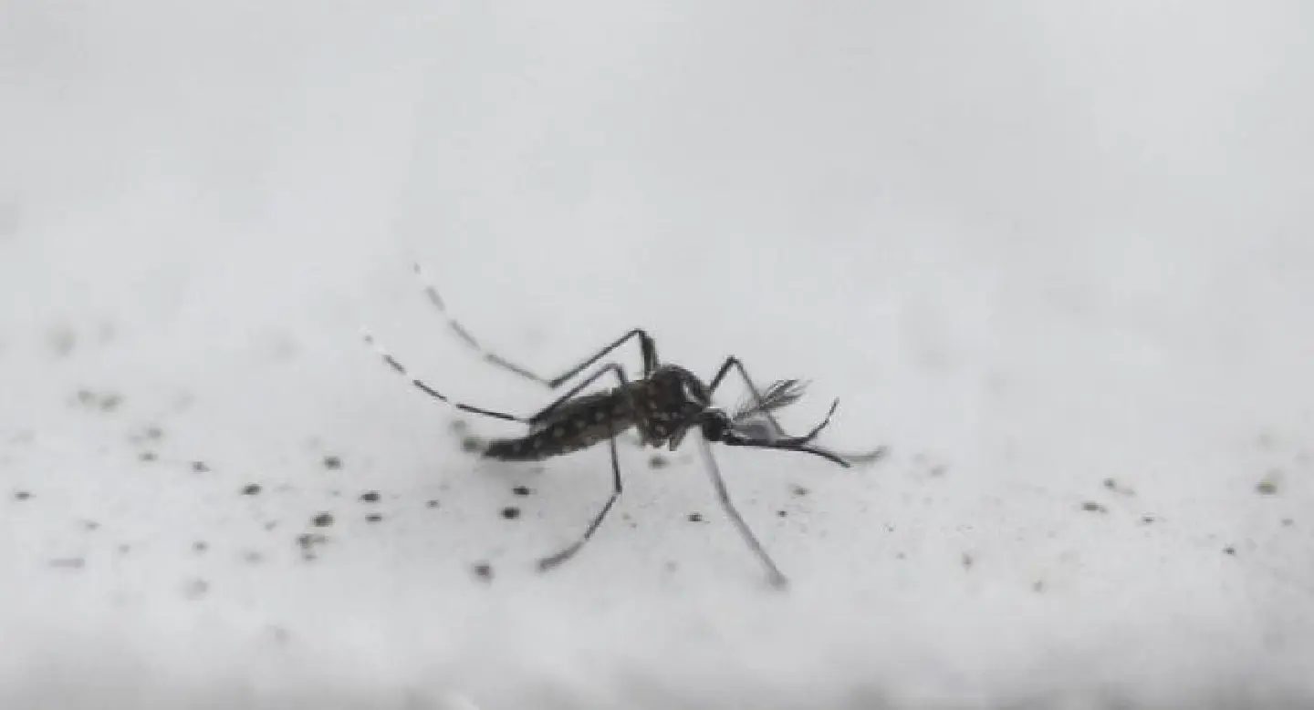Vietnam reports first case of Zika-linked microcephaly