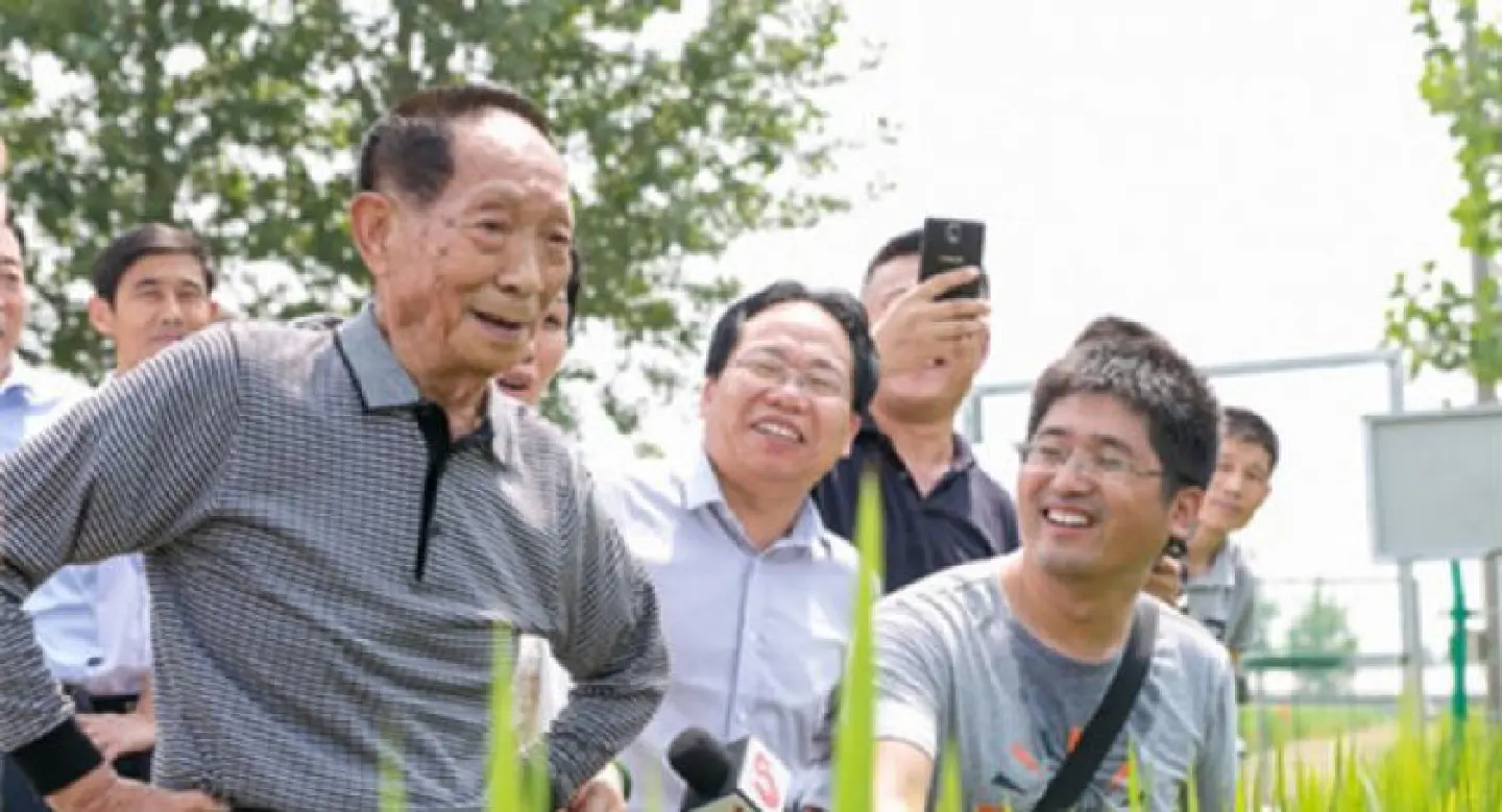 86-year-old scientist aims to revolutionize rice planting 86-year-old scientist aims to revolutionize rice planting
