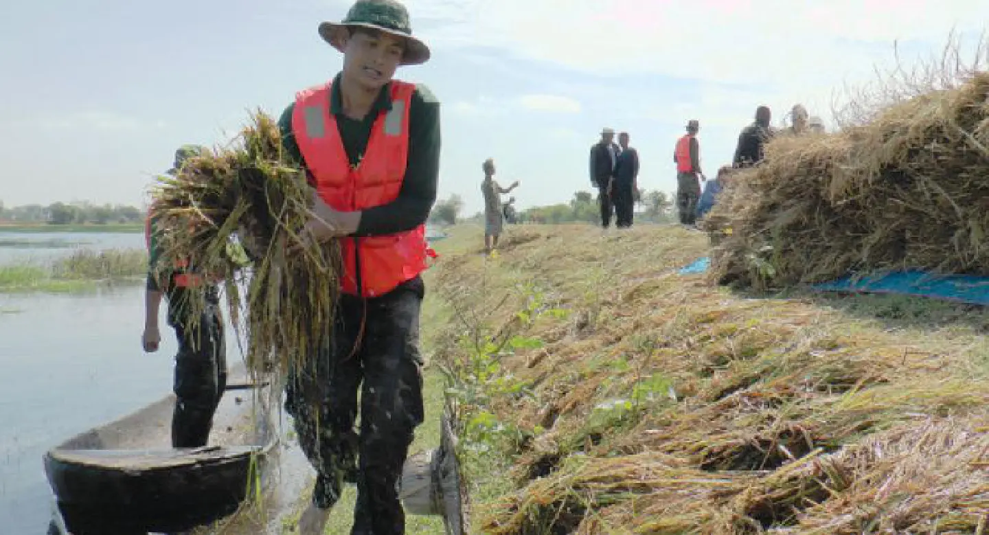Prayut calls for calm over rice crisis Prayut calls for calm over rice crisis