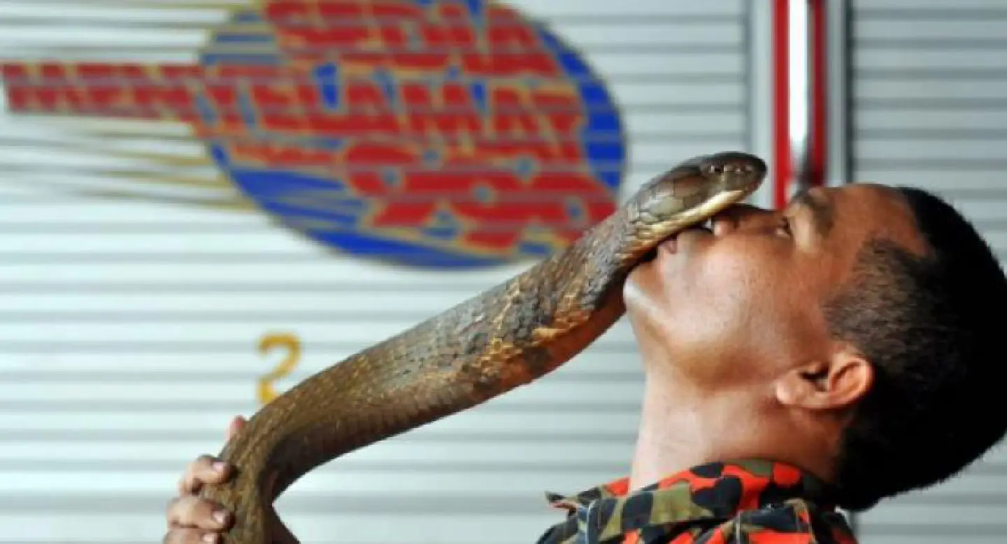 No, I did not marry a snake, says firefighter
