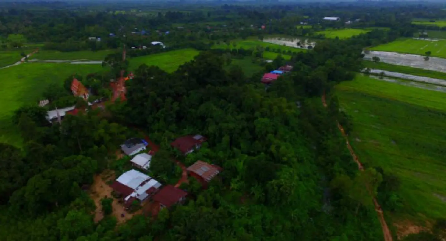 Call to overhaul ‘unfair’ 1998 resolution to determine forest land rights Call to overhaul ‘unfair’ 1998 resolution to determine forest land rights