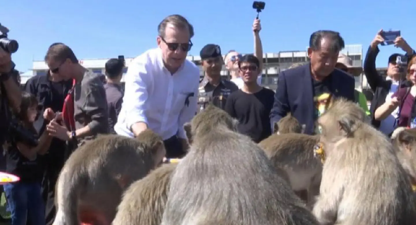 US ambassador joins annual monkey festival in Lupburi US ambassador joins annual monkey festival in Lupburi