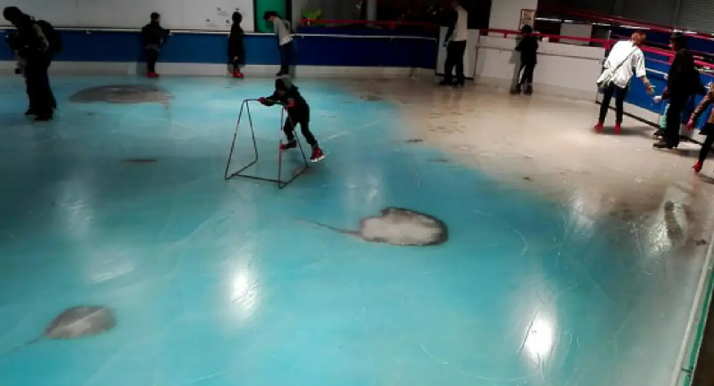 Japanese skating rink closed after outrage over fish frozen in ice Japanese skating rink closed after outrage over fish frozen in ice