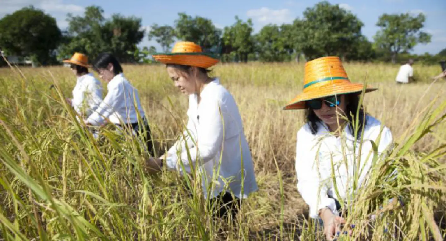 A farm concept that empowers communities A farm concept that empowers communities