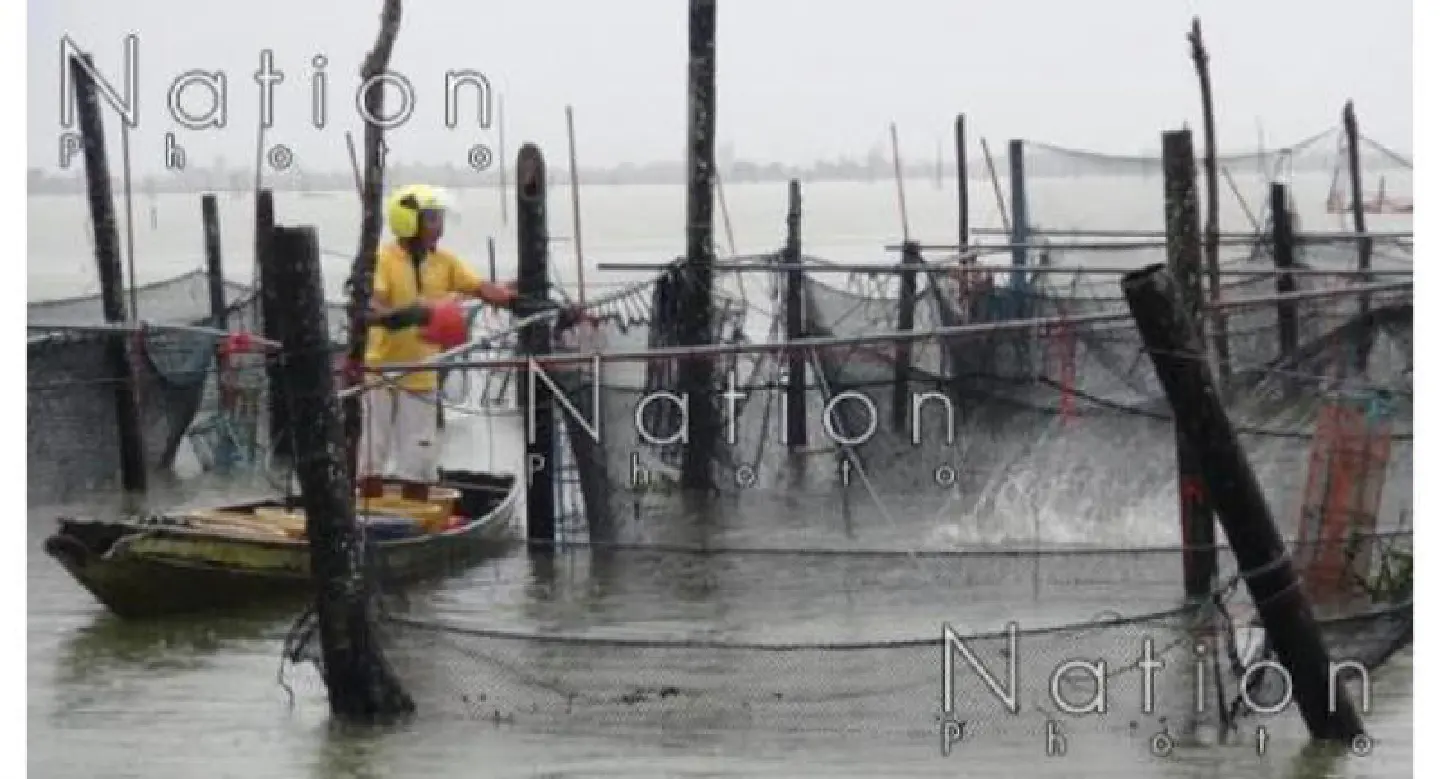 Four dead, one missing as storms lash South Four dead, one missing as storms lash South