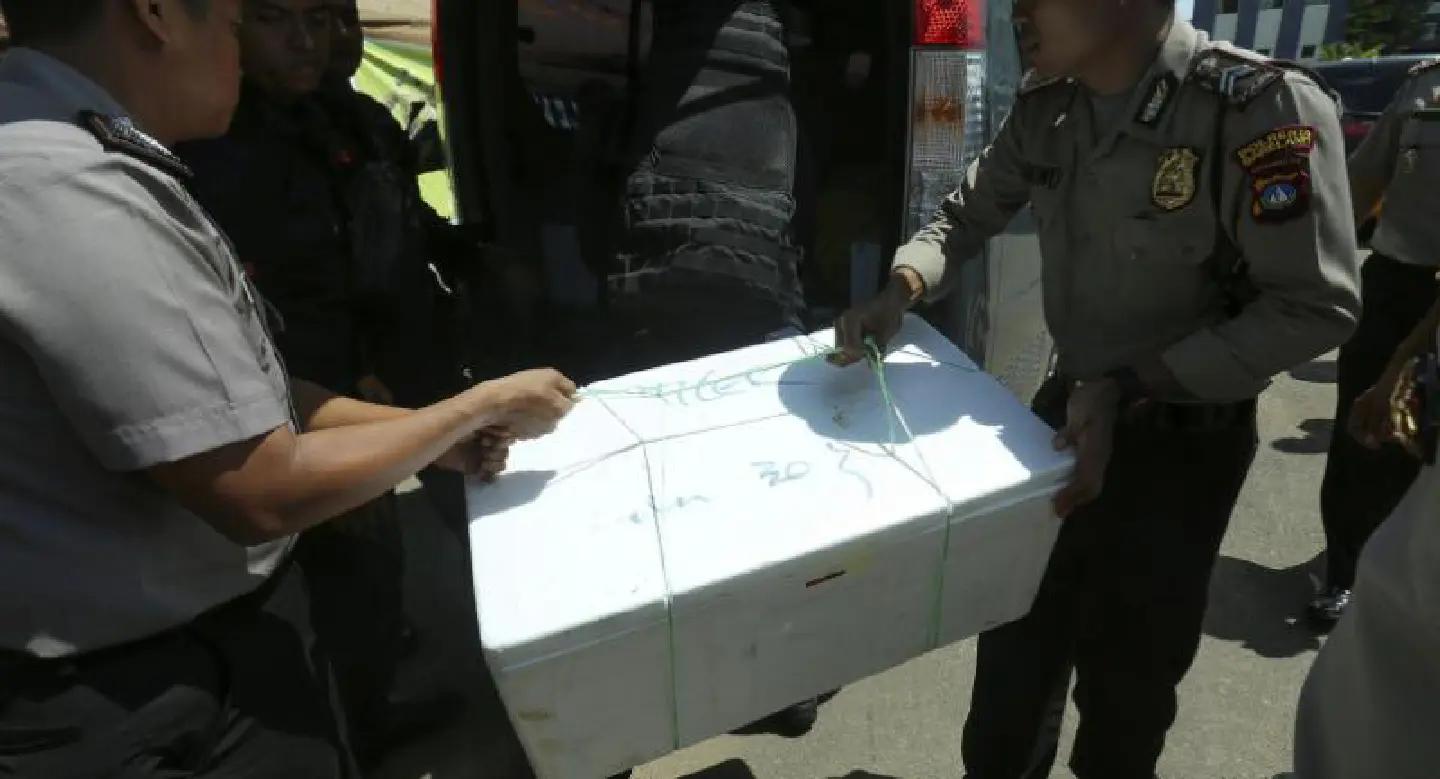 Body parts found after Indonesian plane missing Body parts found after Indonesian plane missing