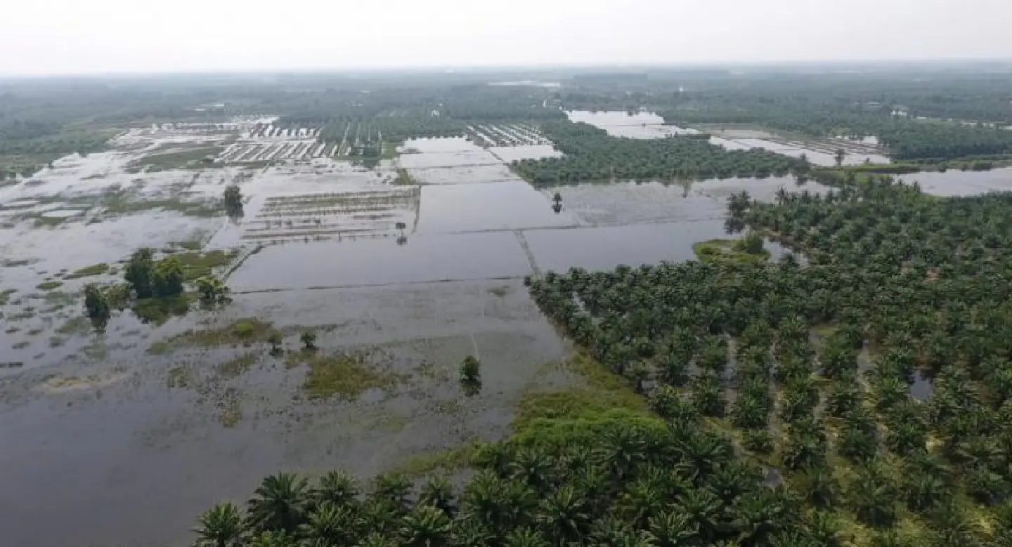 Persistent flooding affects Songkhla and Surat Thani Persistent flooding affects Songkhla and Surat Thani