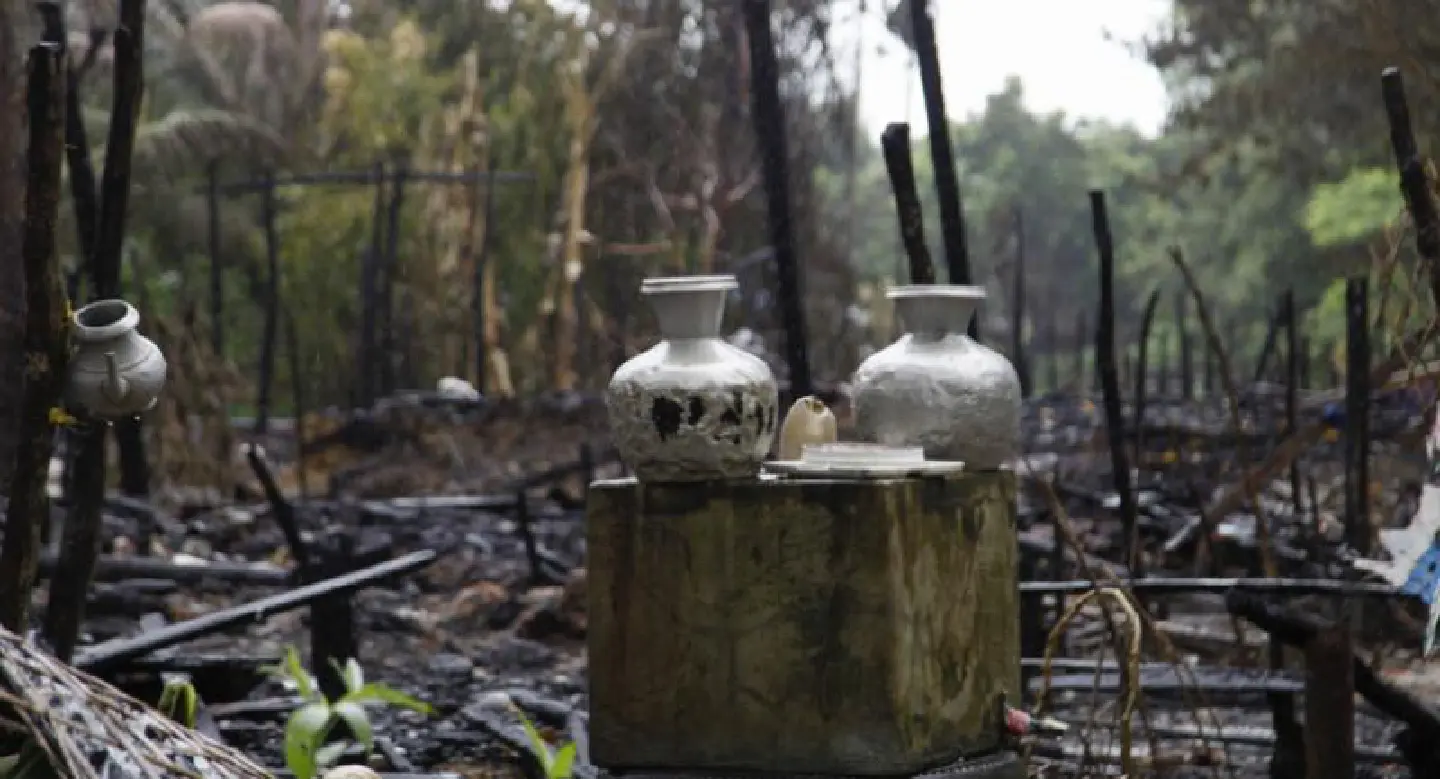 Myanmar Rohingya militancy `well-organized,