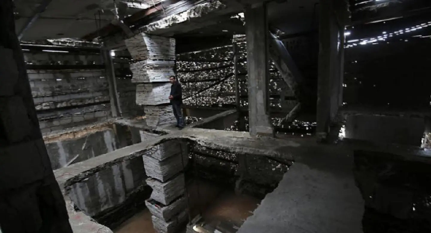 Artist brings beauty to war-damaged Gaza home Artist brings beauty to war-damaged Gaza home