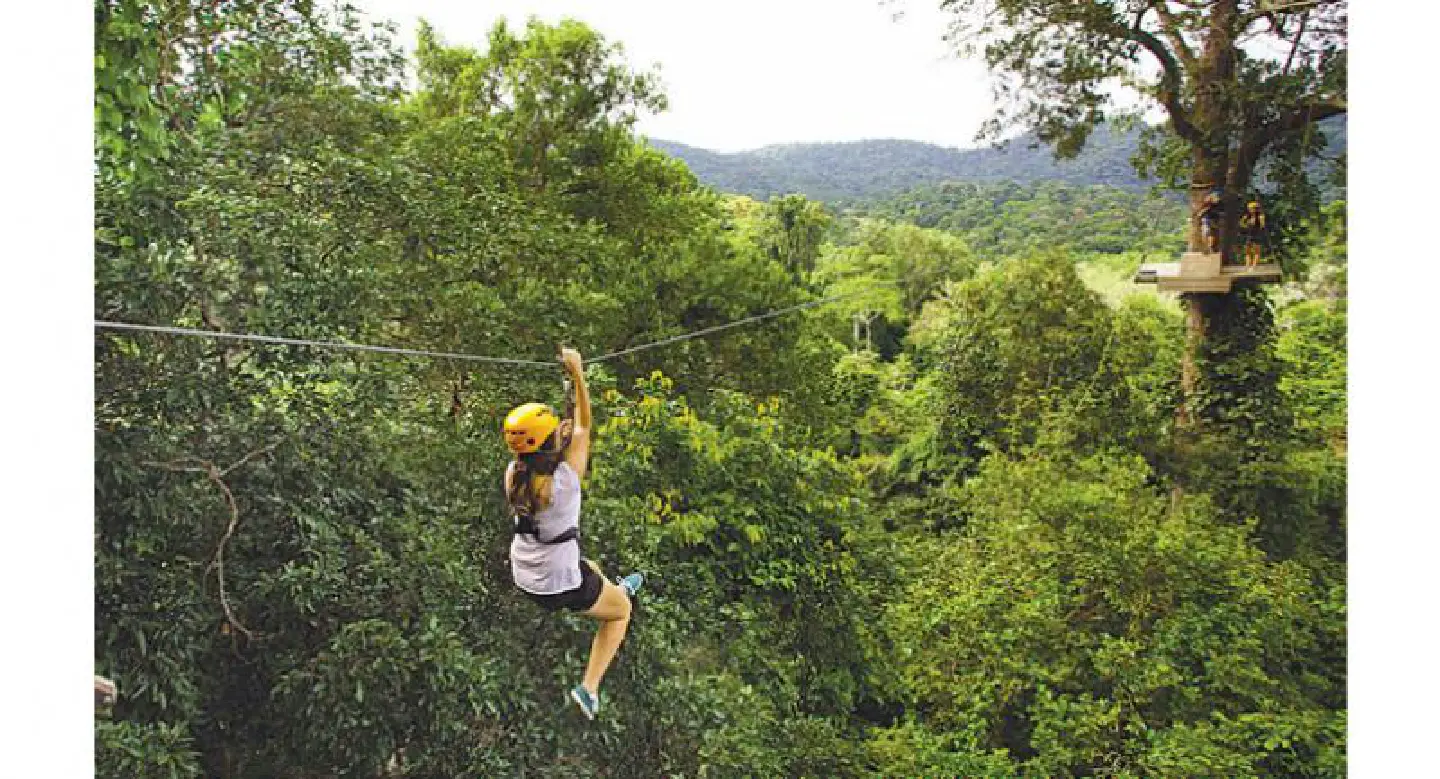 Zip-line suspended after 3 Israelis hurt Zip-line suspended after 3 Israelis hurt