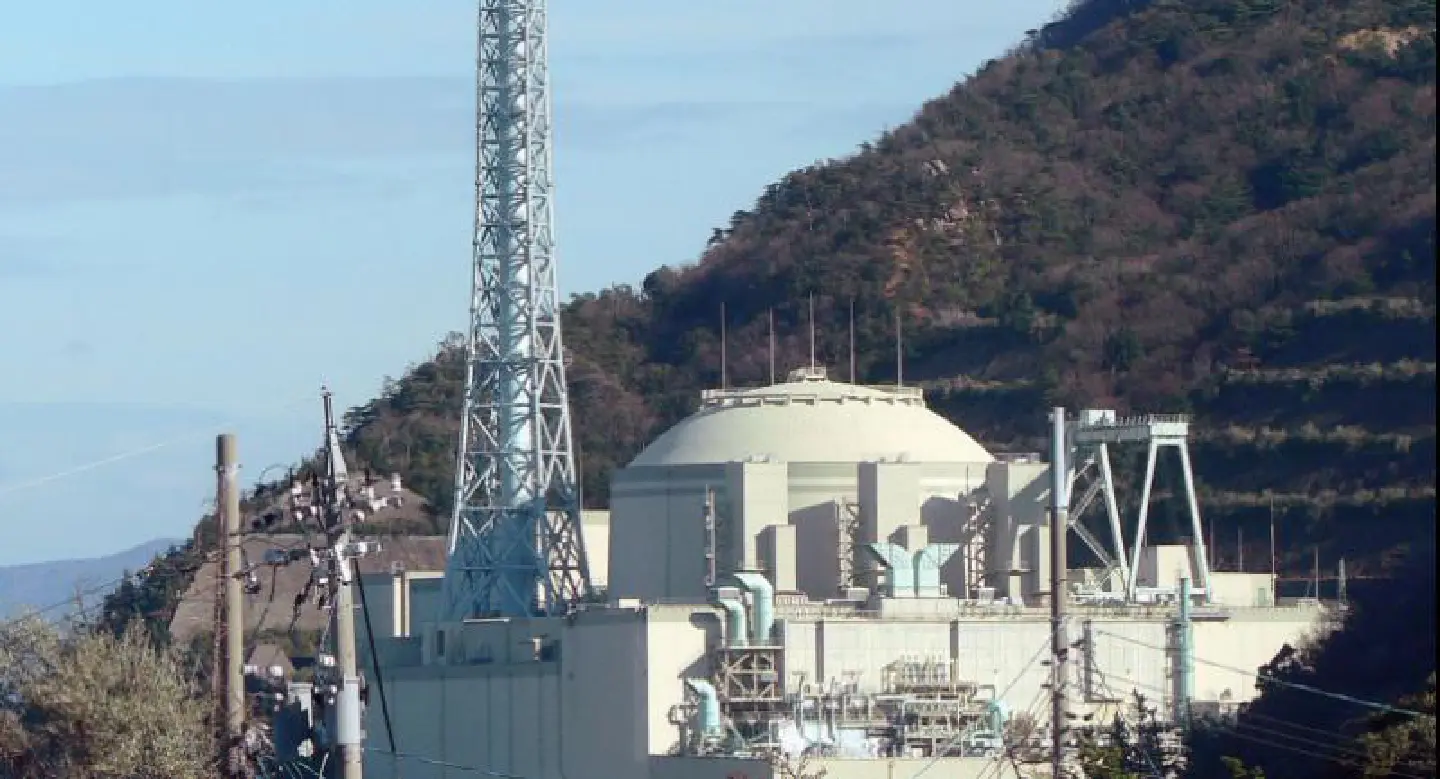 Japan pulls plug on troubled fast breeder reactor Japan pulls plug on troubled fast breeder reactor