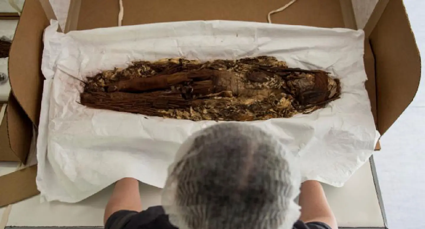 Scans unveil secrets of world's oldest mummies Scans unveil secrets of world's oldest mummies