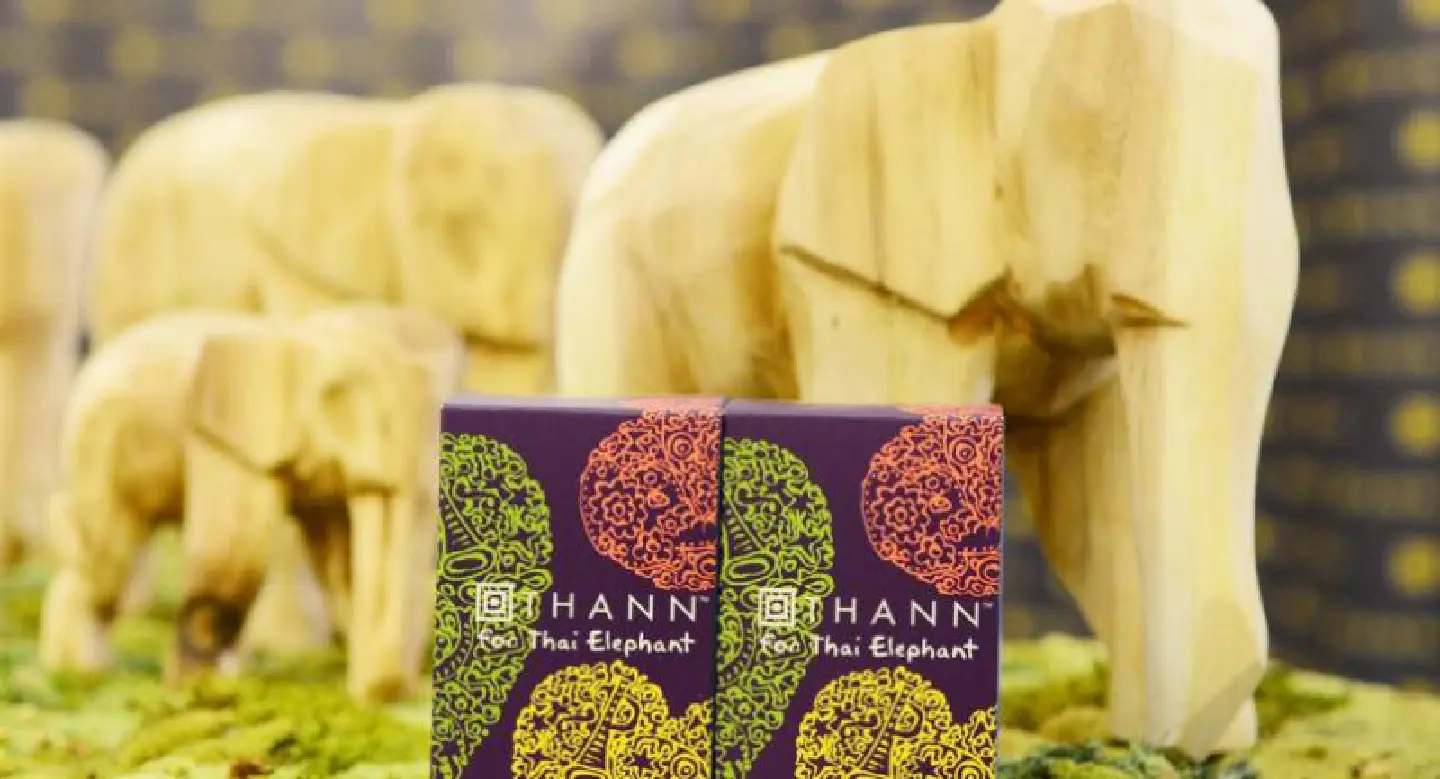 Give an elephant a happier New Year Give an elephant a happier New Year