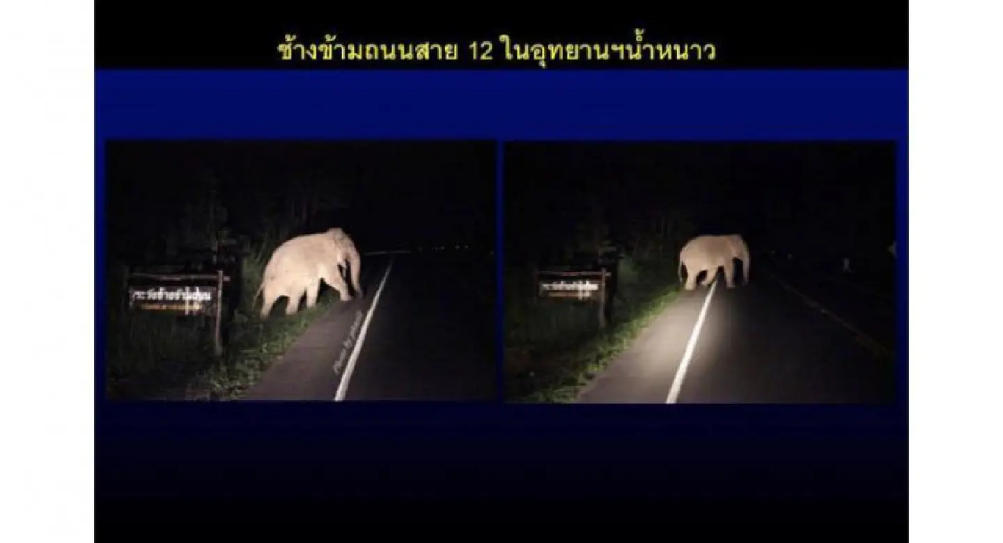 Phetchabun national park road proposal put on hold Phetchabun national park road proposal put on hold
