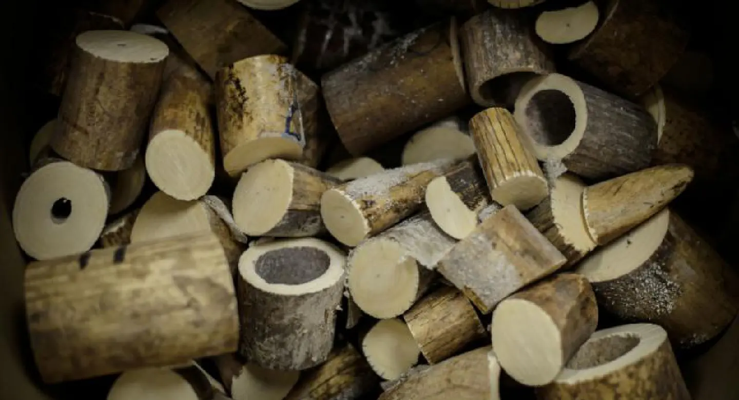China’s ban on ivory ‘puts focus on Japan, Thailand China’s ban on ivory ‘puts focus on Japan, Thailand