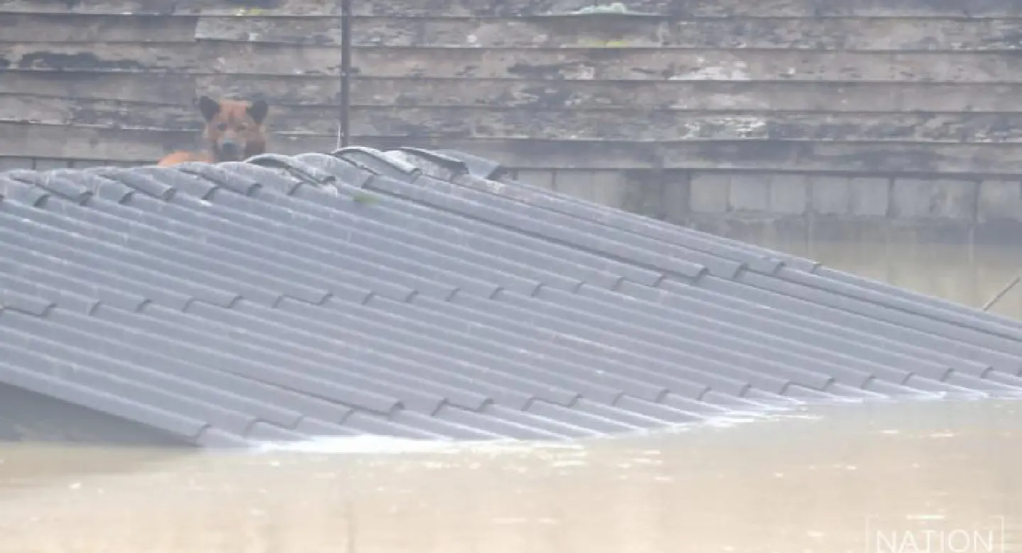 Six dead in southern Thai floods Six dead in southern Thai floods