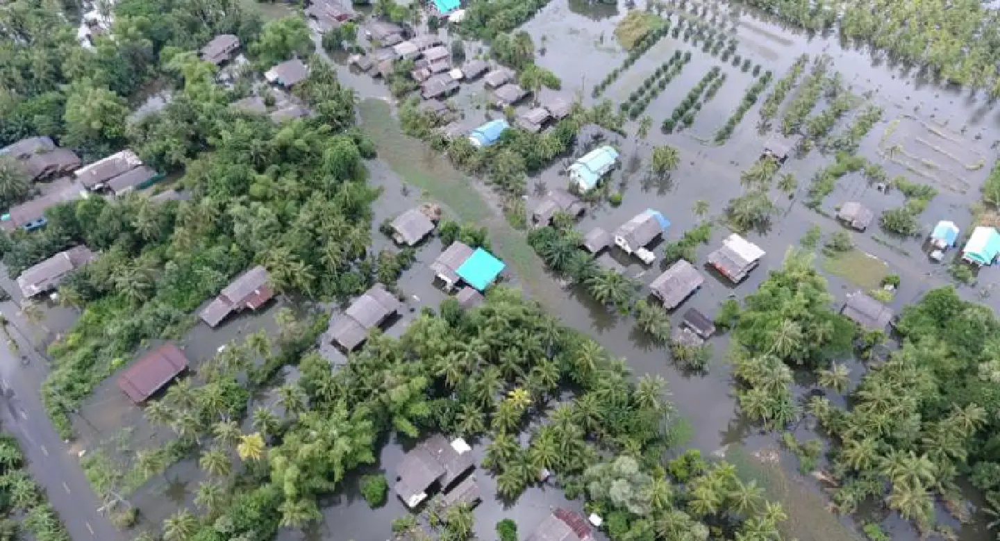 Rain brings fresh misery to flood-hit Thai south Rain brings fresh misery to flood-hit Thai south