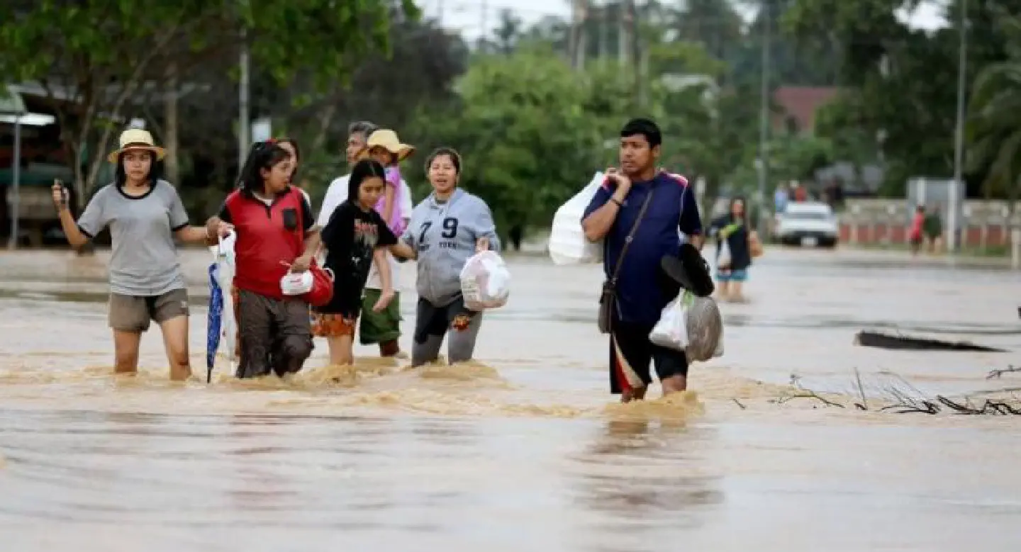 What’s happened to our crisis-warning system What’s happened to our crisis-warning system