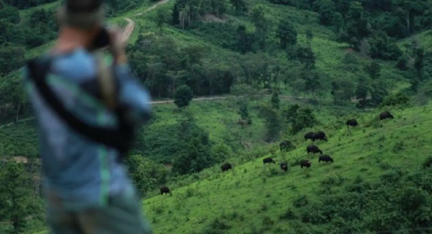 Govt prepares Unesco defence of Khao Yai world heritage status Govt prepares Unesco defence of Khao Yai world heritage status