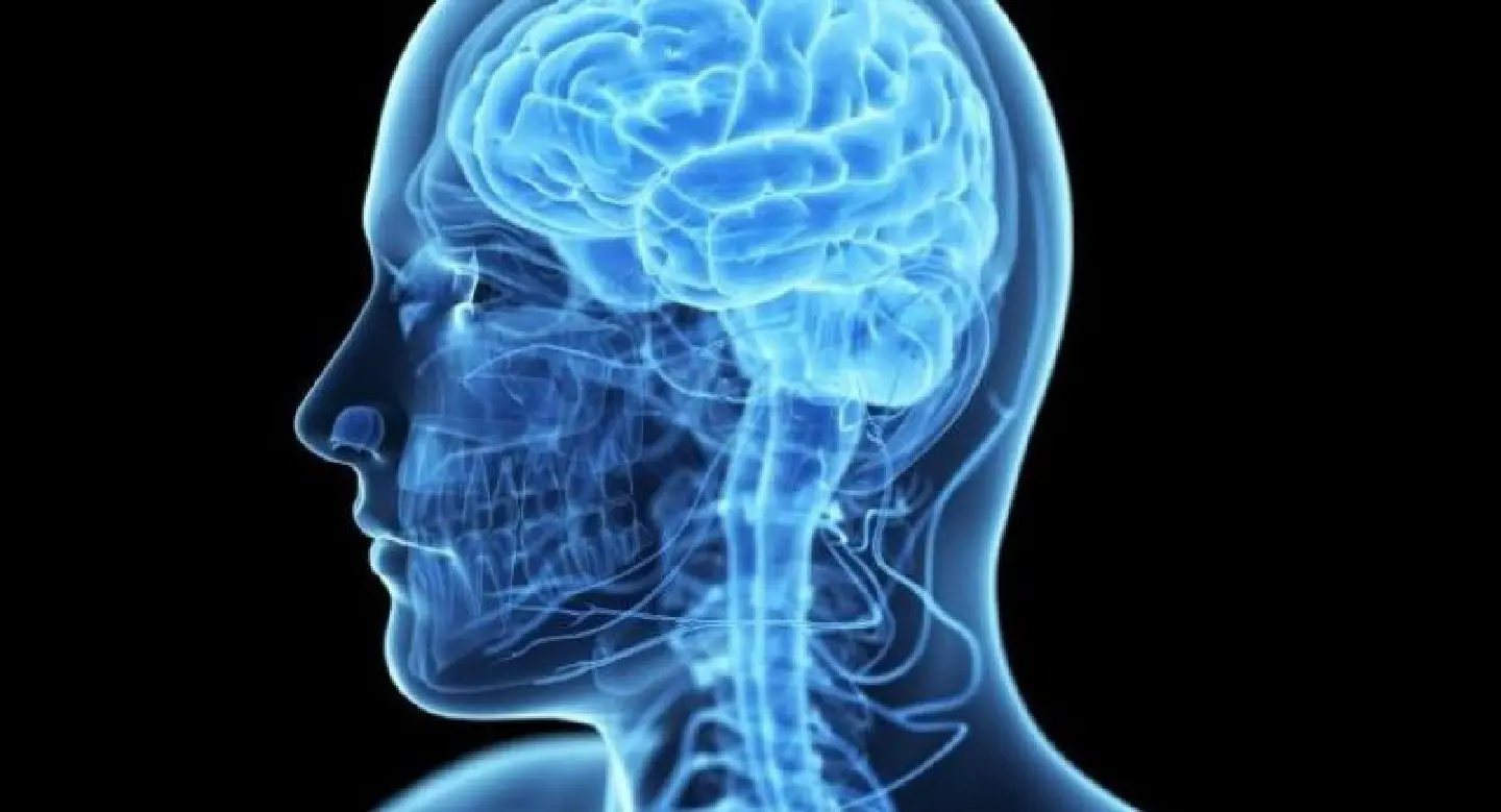 Male brains 'overwhelmed' in multitasking test: study Male brains 'overwhelmed' in multitasking test: study