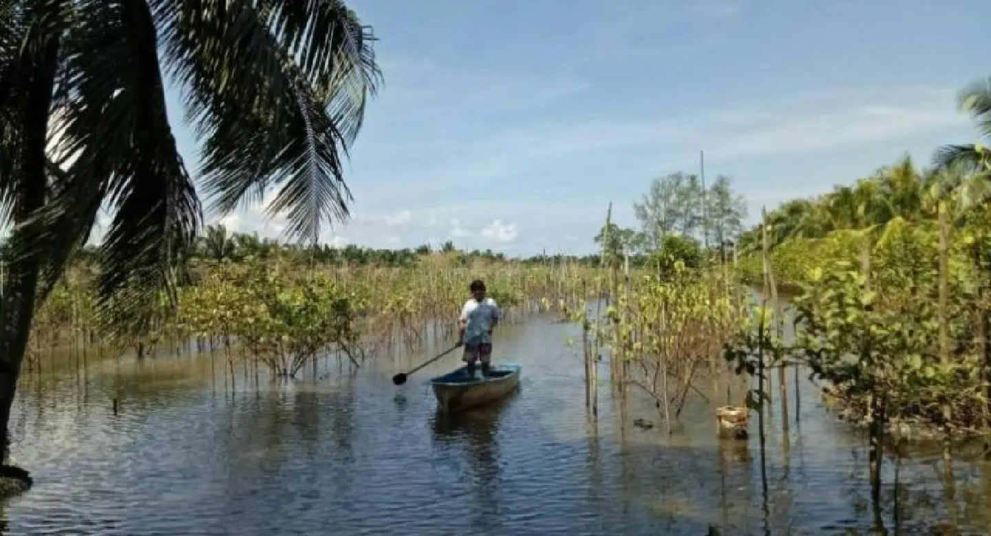 Flooding continues to inflict hardship on southerners as residents count economic damage Flooding continues to inflict hardship on southerners as residents count economic damage
