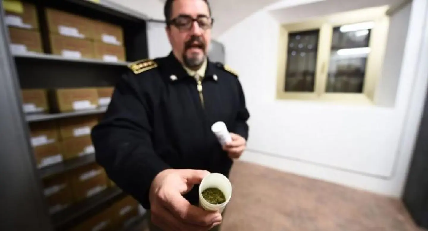 Italy’s military scientists cook up cannabis cures Italy’s military scientists cook up cannabis cures