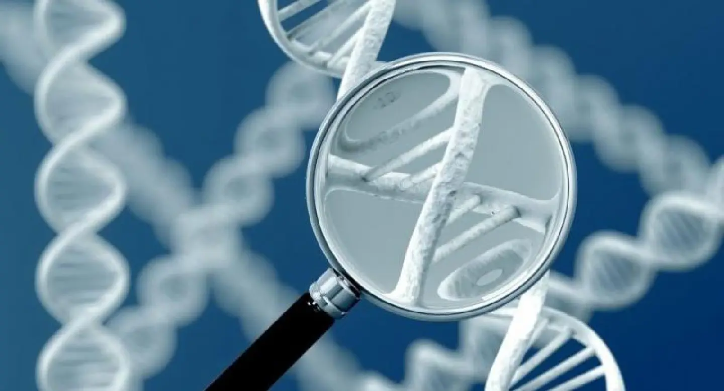 New technique in assisted reproduction New technique in assisted reproduction