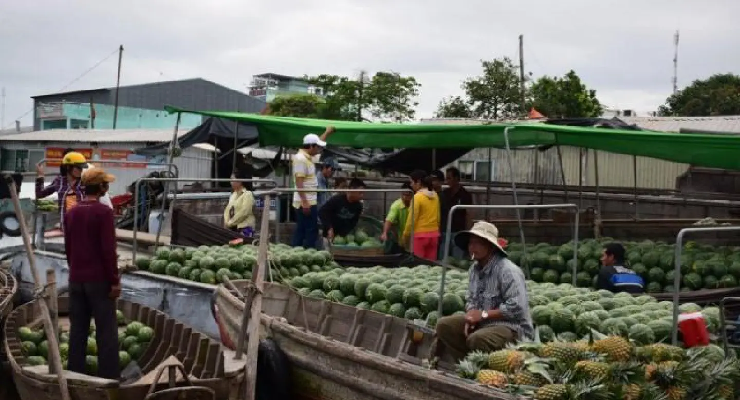 Mekong dams threaten 60m: academics 